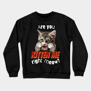 Are You Kitten Me Right Meow Crewneck Sweatshirt